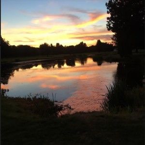 Meet your Posher, Leslie